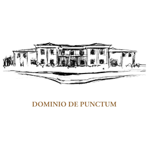 Dominio de Punctum