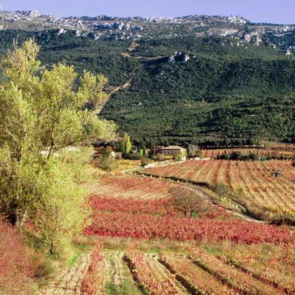 La Granja de Remelluri