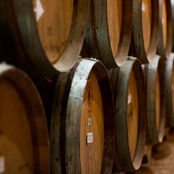 Península Vinicultores