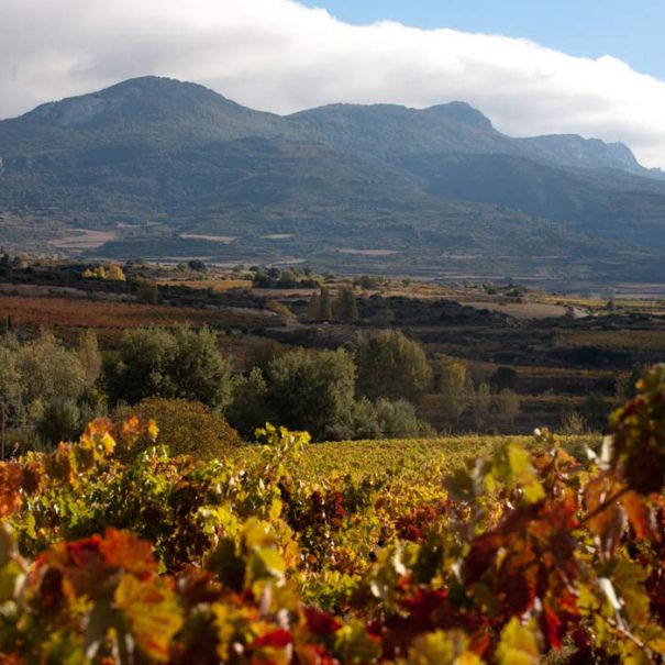 La Granja de Remelluri